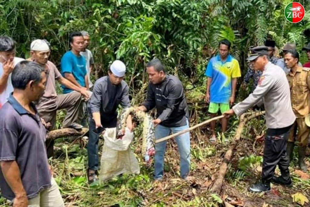 انڈونیشیا ءَ چہ ھژدھا مارے ءِ لاپ ءَ جنینے ءِ جون گندگ بیتگ۔