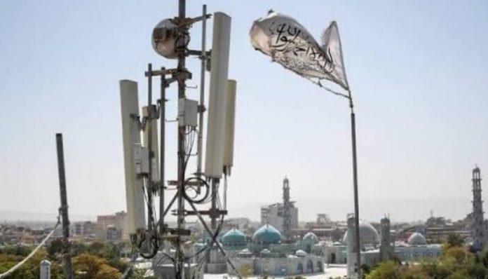 اوگانستان ءَ داں سے روچ ءَ دامگ بند بوگ ءَ پد مرچی پد ءَ پچ بیتگ اَنت