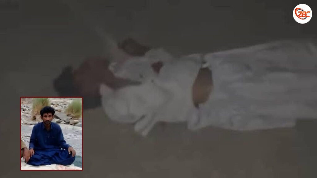 چہ زامران ءَ کشندہ ٹولی ءِ تیرگواری ءَ ورنایے بیران